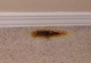 Carpet Repairs in Parker CO