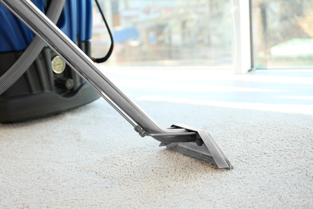 Brighton Carpet Cleaning By Advance Carpet Cleaning