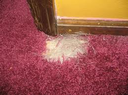 Carpet holes can be repaired