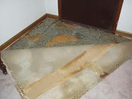 Pet Urine of Carpet Repairs