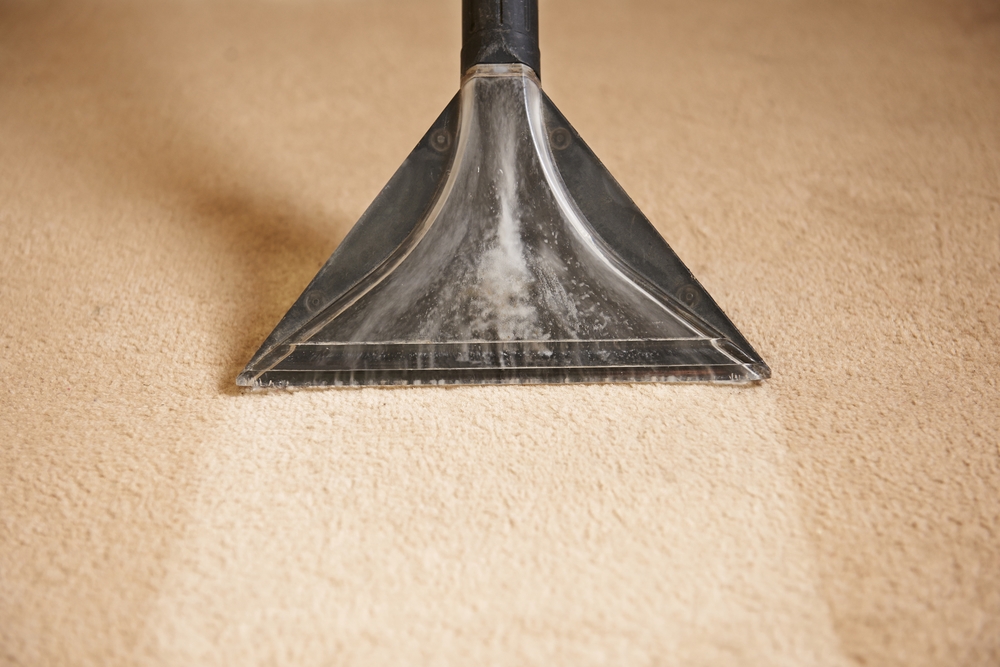 Steam Carpet Cleaning