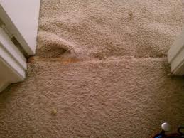 Carpet Stretching - Advance Carpet Cleaning