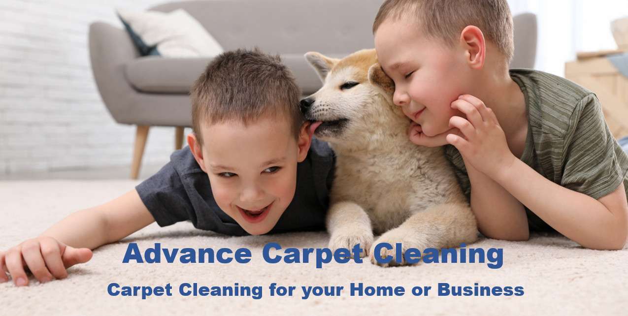 Advance Carpet Cleaning Contact