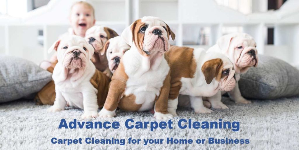 Carpet Repairs Commerce City CO Carpet Repairs Commerce City CO